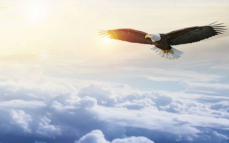 企业理念 企业理念